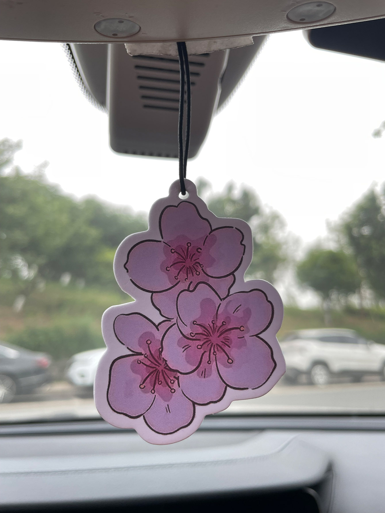 Bathroom Home Essentials Store - Sakura/Freesia Fresh Scent Five-Star Neutral Car
