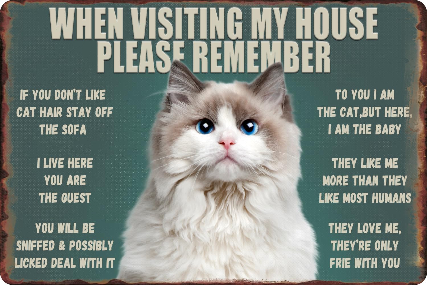 Funny Cat Metal Tin Sign - Whe - Bathroom Home Visit recension och pris