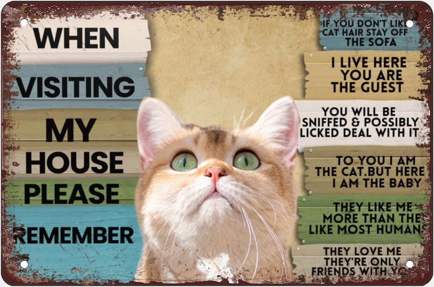 Cat When Visiting My House Ple - Bathroom Home Visit recension och pris