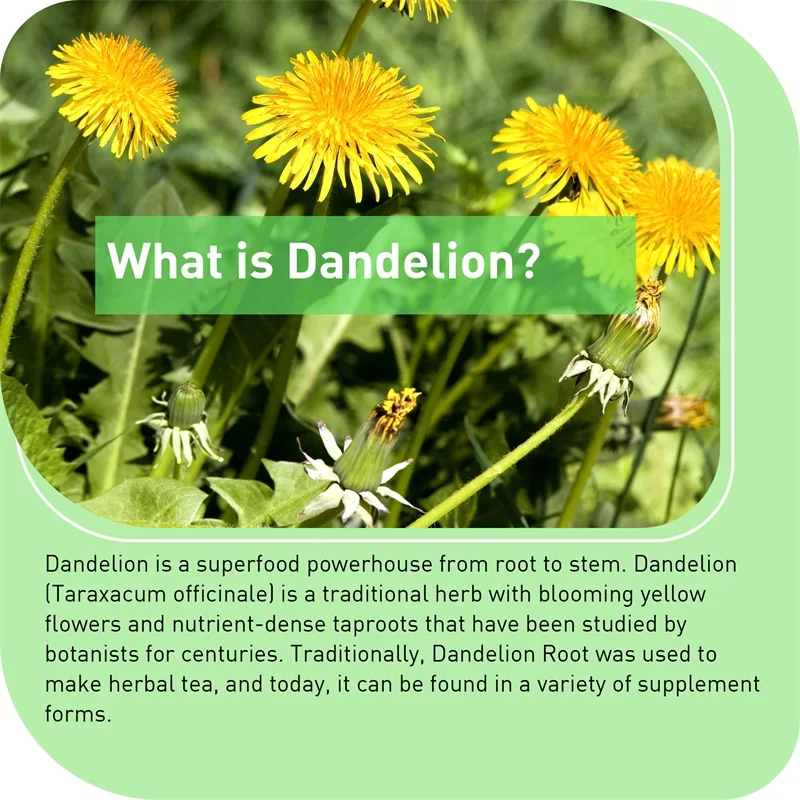 Dandelion Root Capsules - Pros - Home Bathroom Urinal recension och pris