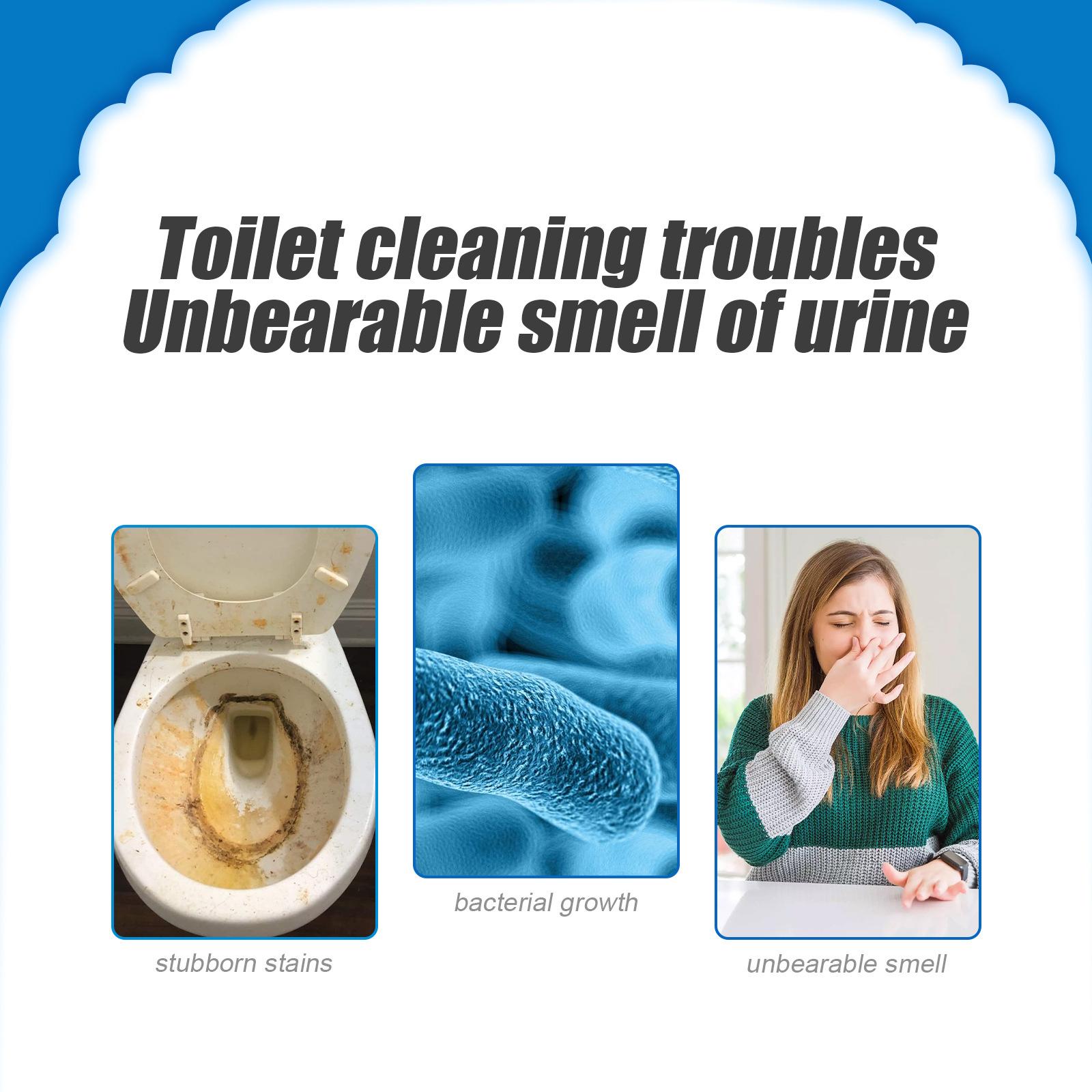 Toilet Bowl Cleaner Powder Dee - Home Bathroom Cleaning Solution recension och pris