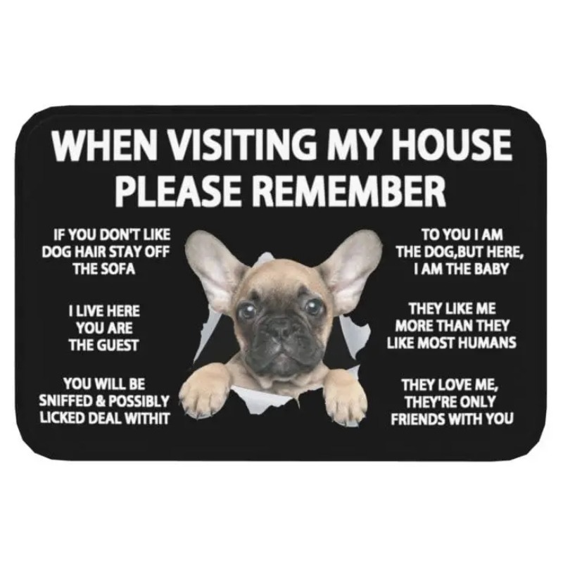 Pet Doormat When Visiting My H - Bathroom Home Visit recension och pris